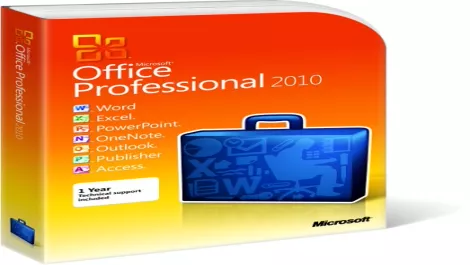 2010professional web1