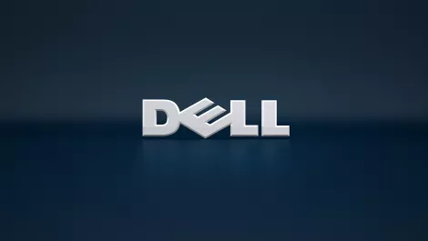 Dell plain 2