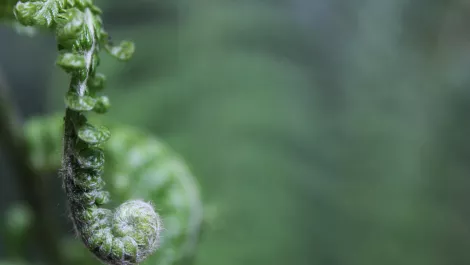 Gettyimages 1169381233