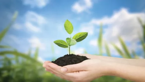 Rebirth for maclean computing