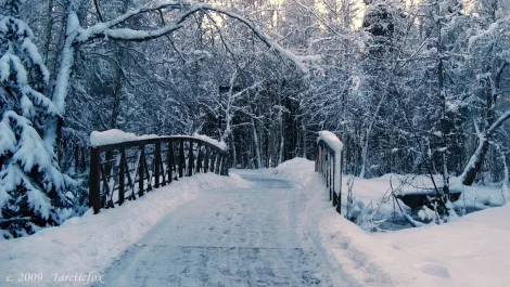 Freezing hell, Androids are under attack