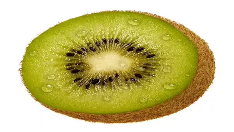 Kiwi 1