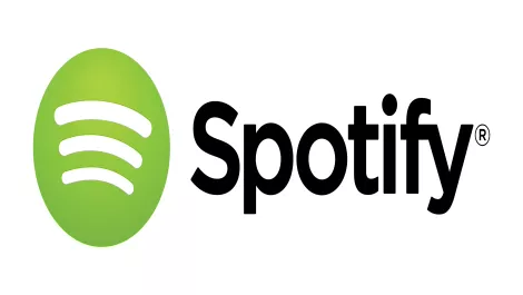 Spotify logo primary horizontal light background rgb