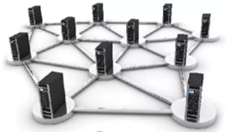 Wnetworks