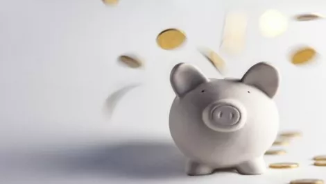 Piggybanksavings