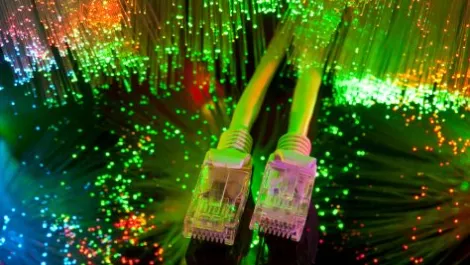 Fibre
