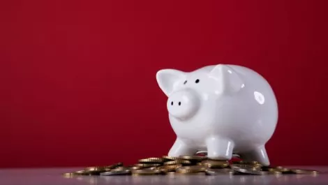 Wealthy piggy bank2