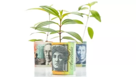 Money growth2