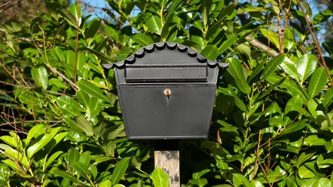 Thinkstockphotos 119667227