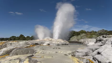 Thinkstockphotos 92678117