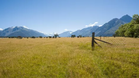 Thinkstockphotos 470054476