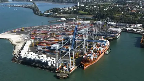 Port decision to cut fumigation gas wins plaudits