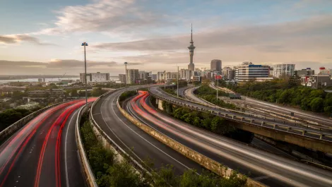 Auckland future