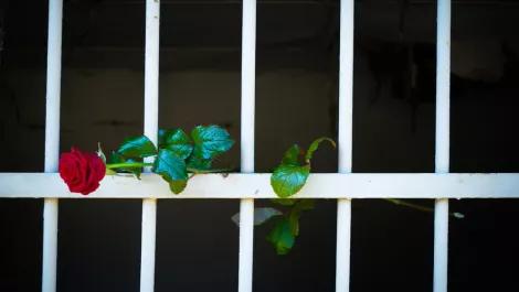 Thinkstockphotos 483451367