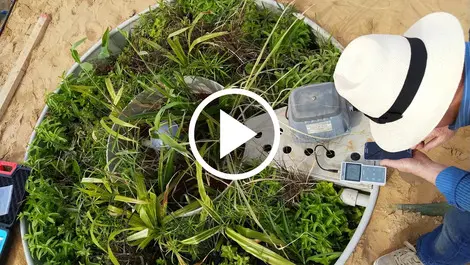 A revolutionary approach to wastewater management