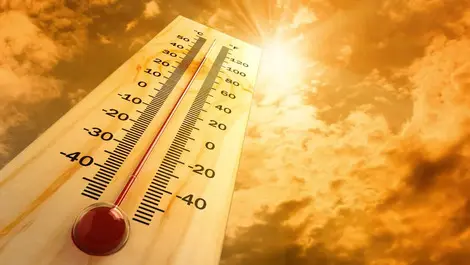 New Zealanders pessimistic after hottest year on record