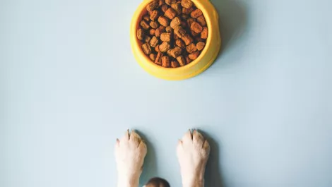 Gettyimages 1126888846