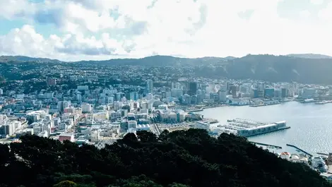 Contractors not to blame for Wellington Water dysfunction