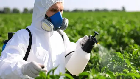 Kicking the pesticide can down the road