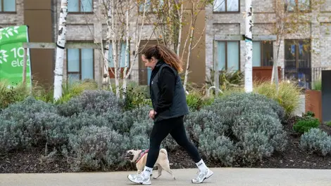 Dog walker penny   co